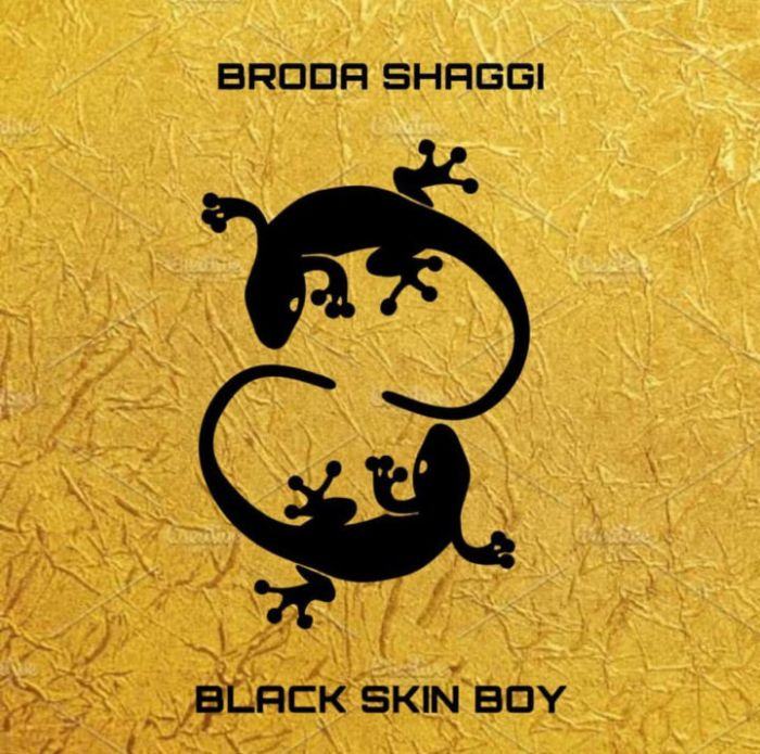 Broda Shaggi – Black Skin Boy [AuDio] » NaijaVibe