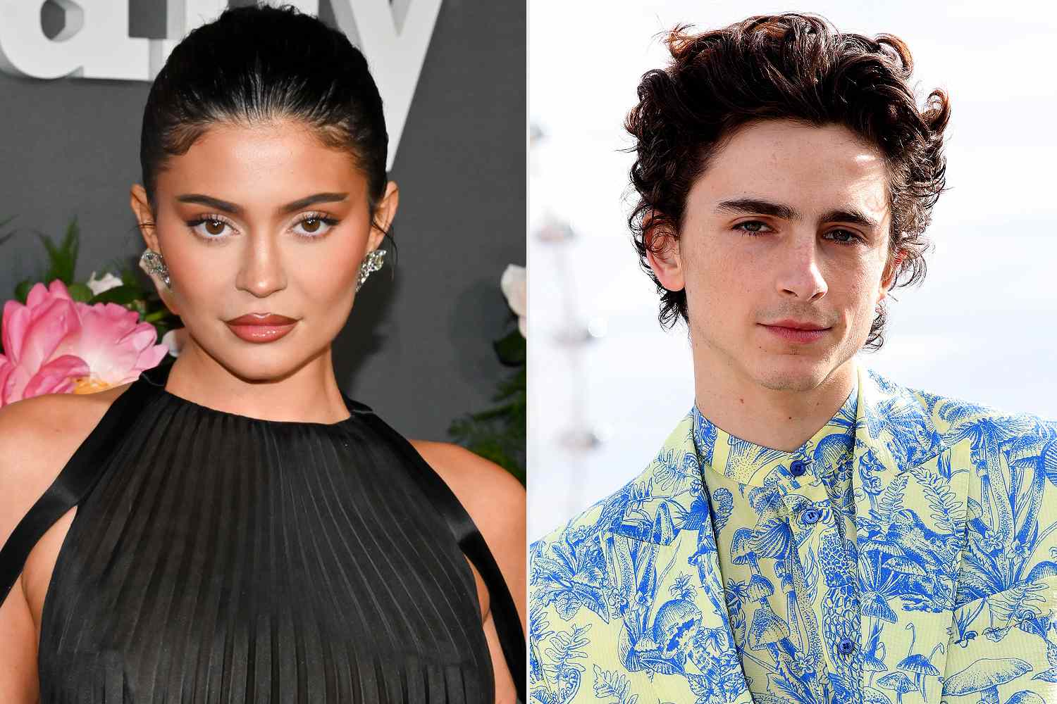 Kylie Jenner and Timothee Chalamet